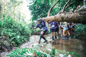 BIB: 
                            <button type="button" onclick="openModal(25472308)" class="btn btn-primary btn-sm float-right btn-popup" data-toggle="modal" data-target=".modal-high-quality">
                        <i class="fas fa-shopping-cart"></i> Add to Cart
                    </button>
                                            <button type="button" onclick="isThisMe(25472308, true)" class="btn btn-success btn-sm float-right btn-popup btn-isme hidden" data-toggle="tooltip" data-placement="bottom" title="นี่คือรูปของคุณใช่ไหม คลิกที่นี่เพื่อเอาเข้าอัลบั้ม">
                        <i class="fas fa-plus"></i> Add to album
                    </button>
                    <button type="button" onclick="isThisMe(25472308, false)" class="btn btn-warning btn-sm float-right btn-popup btn-isnotme hidden">
                        <i class="fas fa-ban"></i> Remove from album
                    </button>